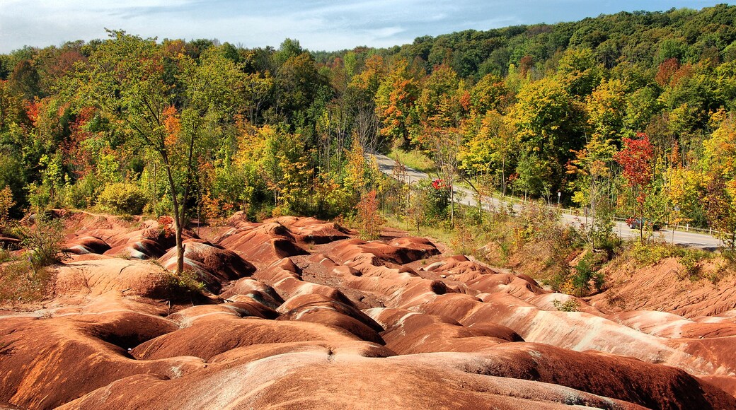 Municipalité régionale de Peel