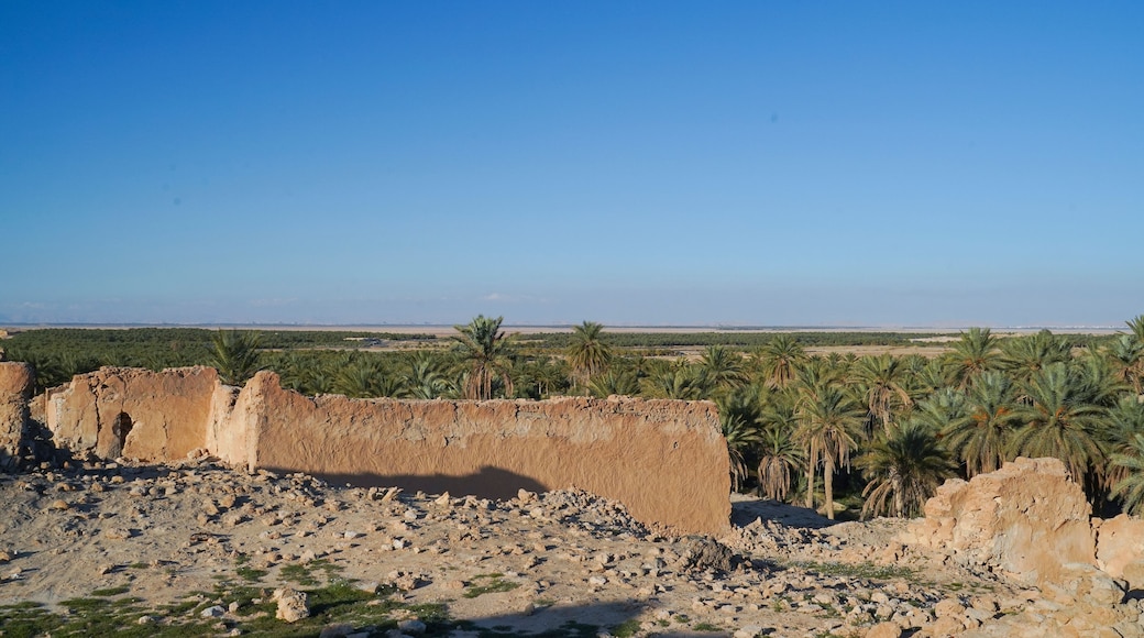 Douz,la porta del deserto, villaggio situato ai margini del Deserto del Sahara. Tunisia