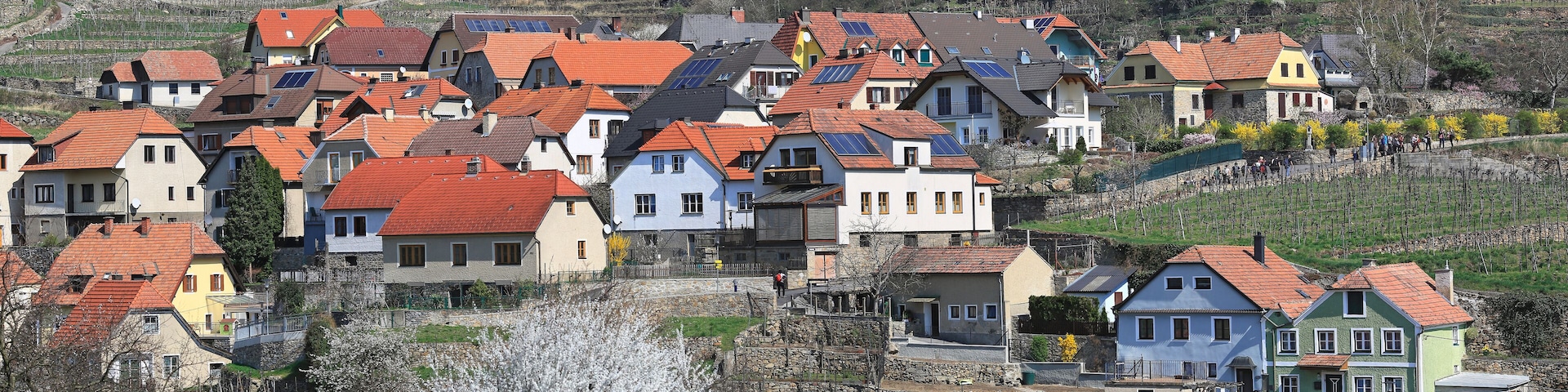 Market town of Weissenkirchen in der Wachau surrounded with terraced vineyards. Wachau-Valley, district of Krems-Land, Lower Austria.