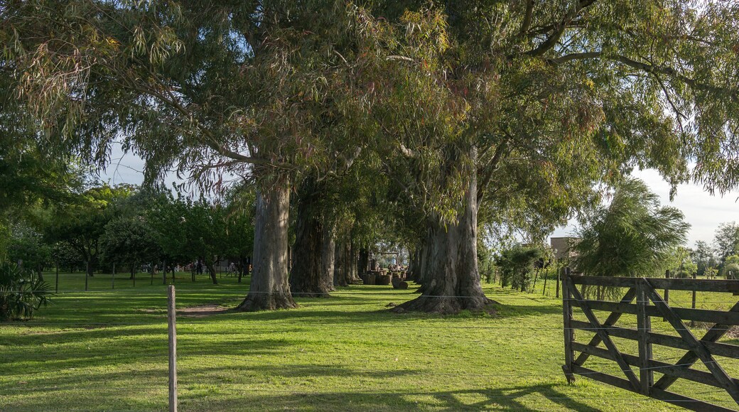 Partido de Marcos Paz