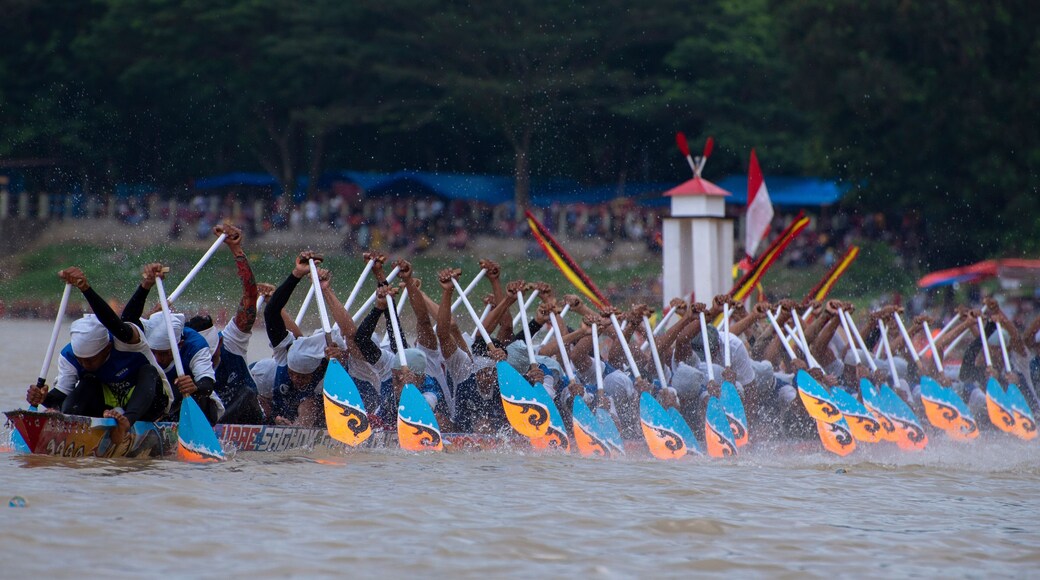 Regencia de Kuantan Singingi