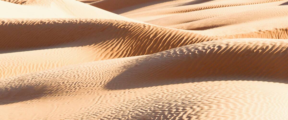 Undulating sand dunes with ripples and shadows.