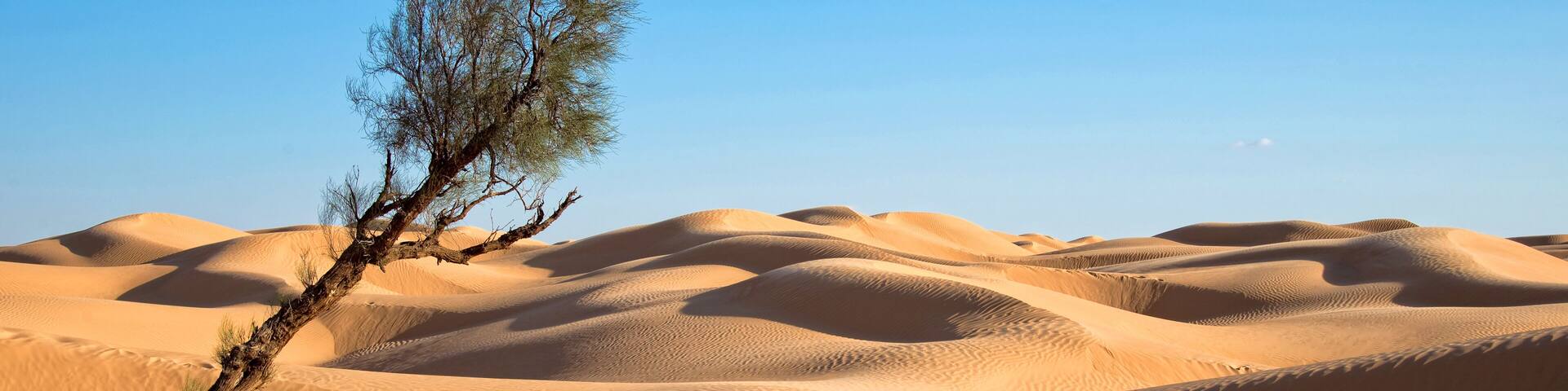 Sand dunes in the desert of Sahara, South Tunisia