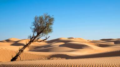 مدينة دوز الجنوبية