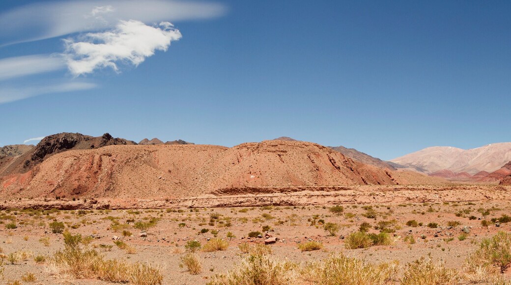 Département de Chamical