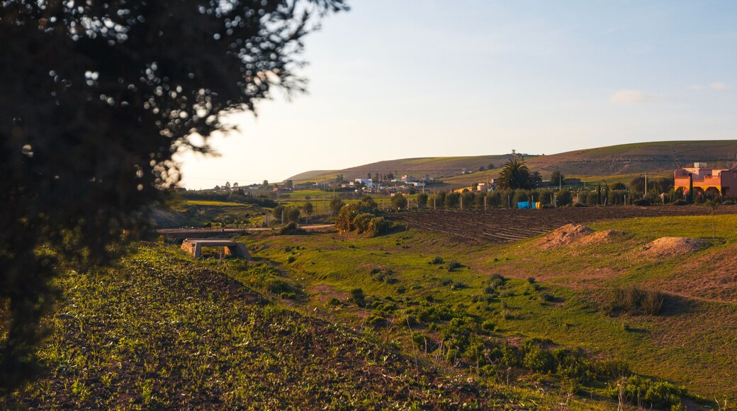 Provincia de Rehamna