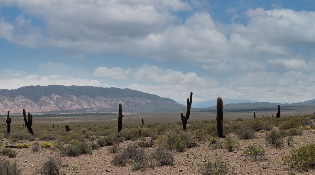 Département de Los Andes
