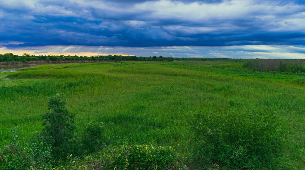 Département de Matacos