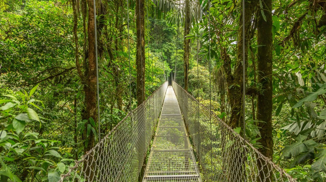 Cantón de La Unión