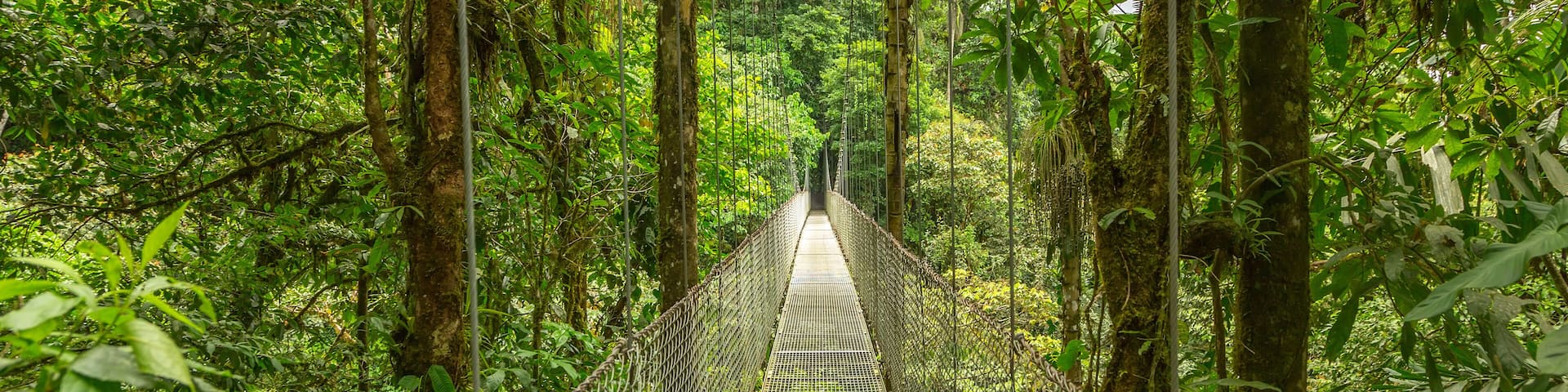 Hanging bridge in Costa Rica