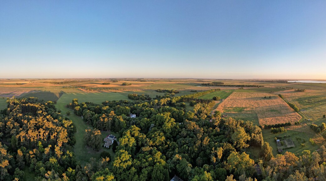 Departamento Puelén