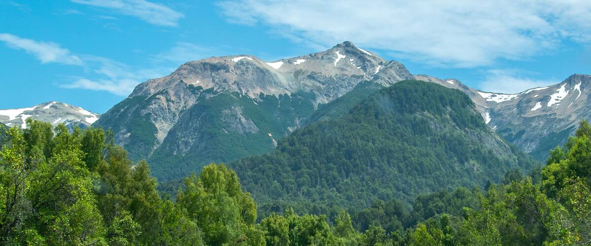 Panoramic forest landscape, los alerces national park, chubut province, argentina