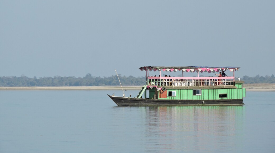 Dibru-Saikhowa National Park is a national park in Assam, India. It is located in Dibrugarh and Tinsukia districts.Famous for feral horses, clouded leopard, Gangetic dolphins, water buffalo, birds etc