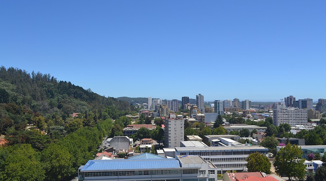 the beautiful city of Concepcion in the south of Chile