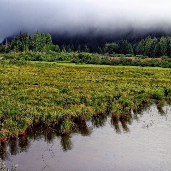 This lake was covered with low clouds. It has fish biting the surface for bugs everywhere. I only wish I could have stopped longer.