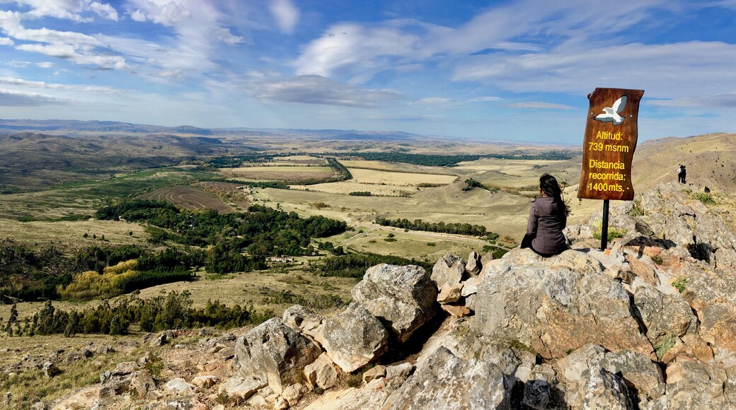 Partido de Coronel Suárez