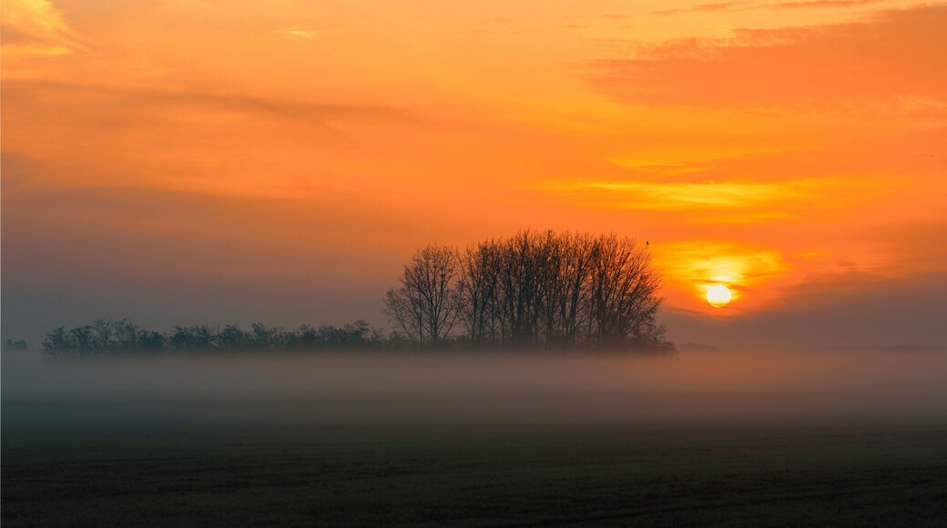 Un lever de soleil sur un paysage brumeux, avec des arbres se découpant en silhouette et un ciel dégagé.