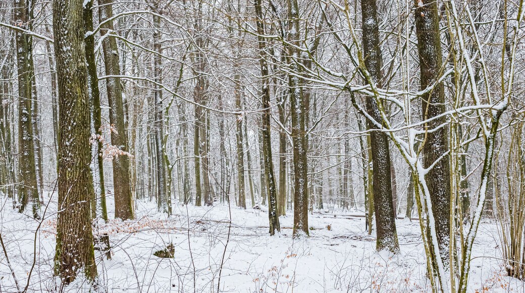 Commune de Vilhelmina