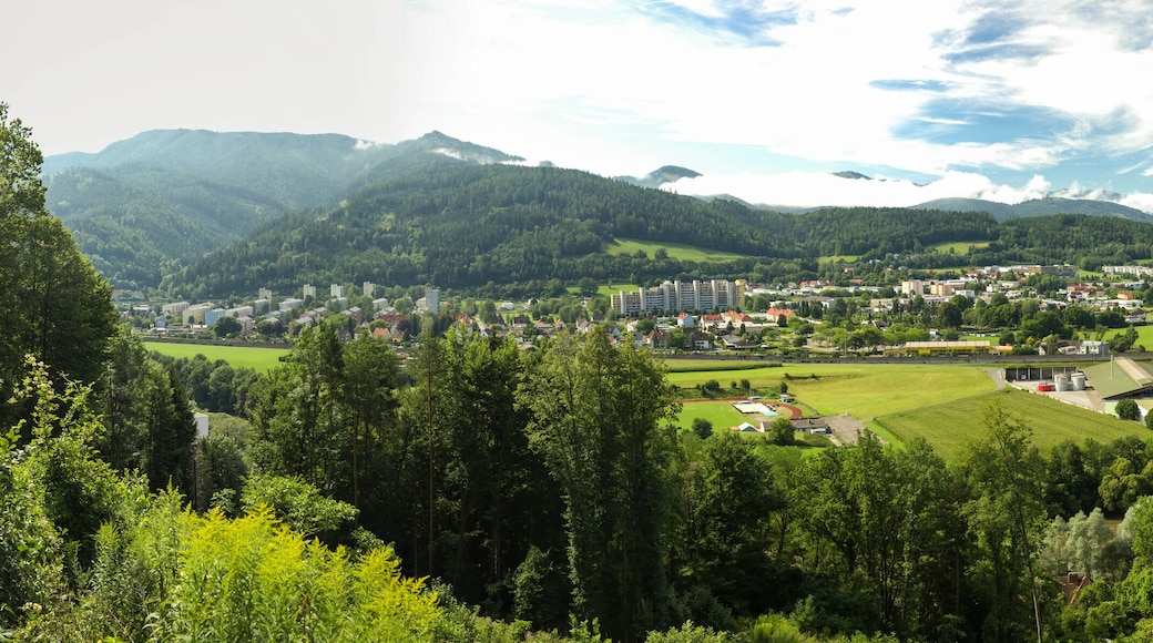 Austria, Styria, Leoben, townscape