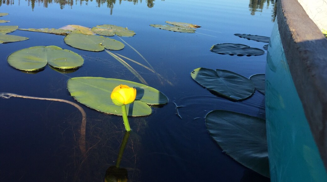 Beautiful and peaceful place for canoeing