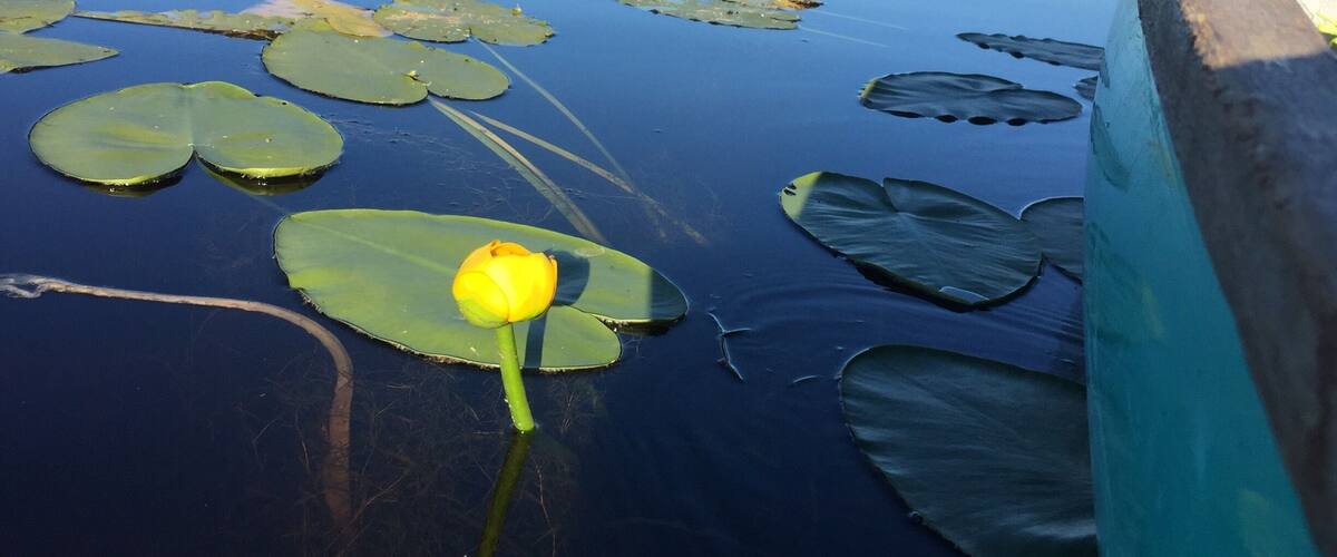 Beautiful and peaceful place for canoeing