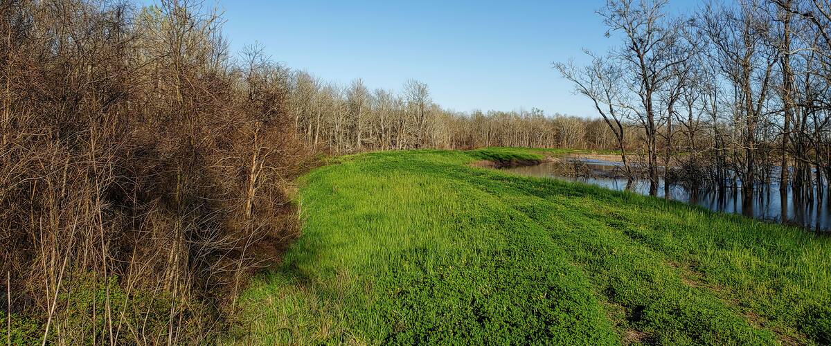 Grand Cote National Wildlife Refuge in Avoyelles Parish, Louisiana