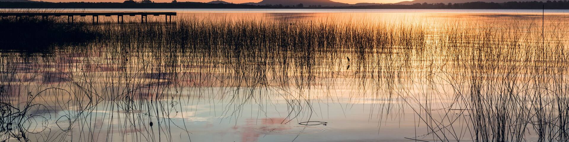 Idyllic Willow Lake (Lagoon of the Willow, spanish - Laguna del Sauce) that is the largest water body in the Maldonado Department of Uruguay