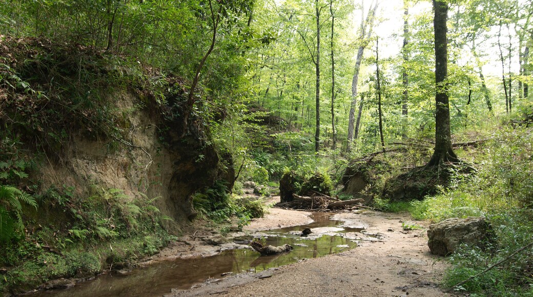 Paroisse de Sainte-HélÚne