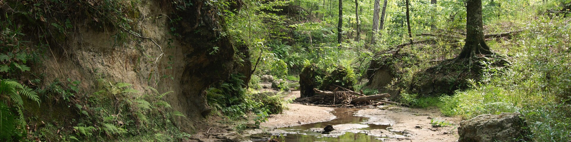 Clark Creek Natural Area, Tunica Hills, Mississippi, USA