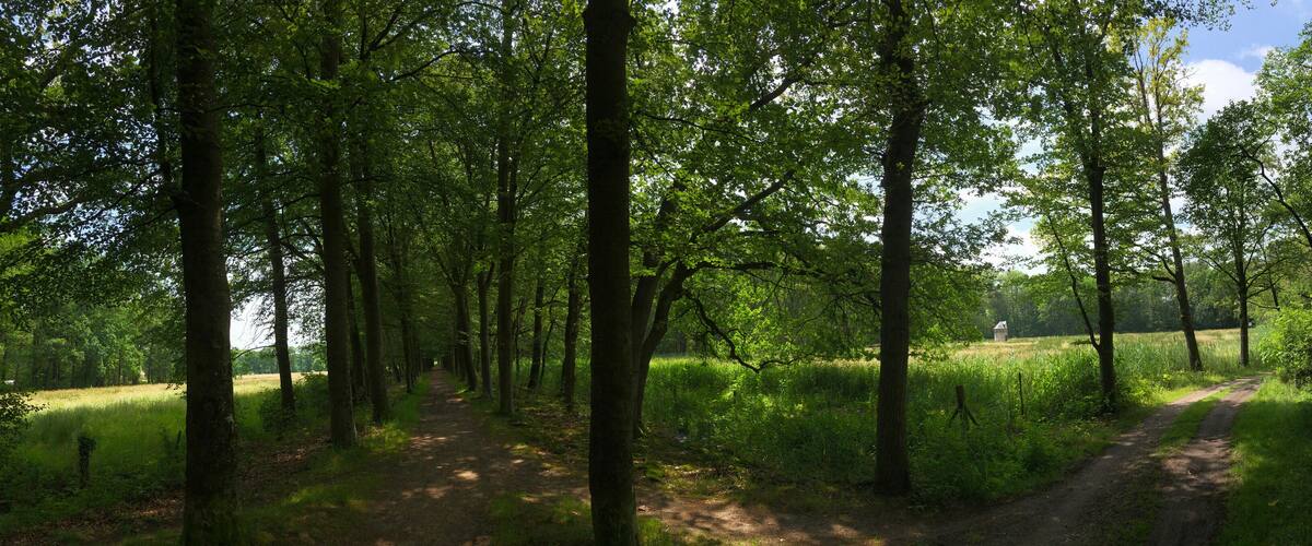 Panorama from the forest in Natuurschoon Nietap