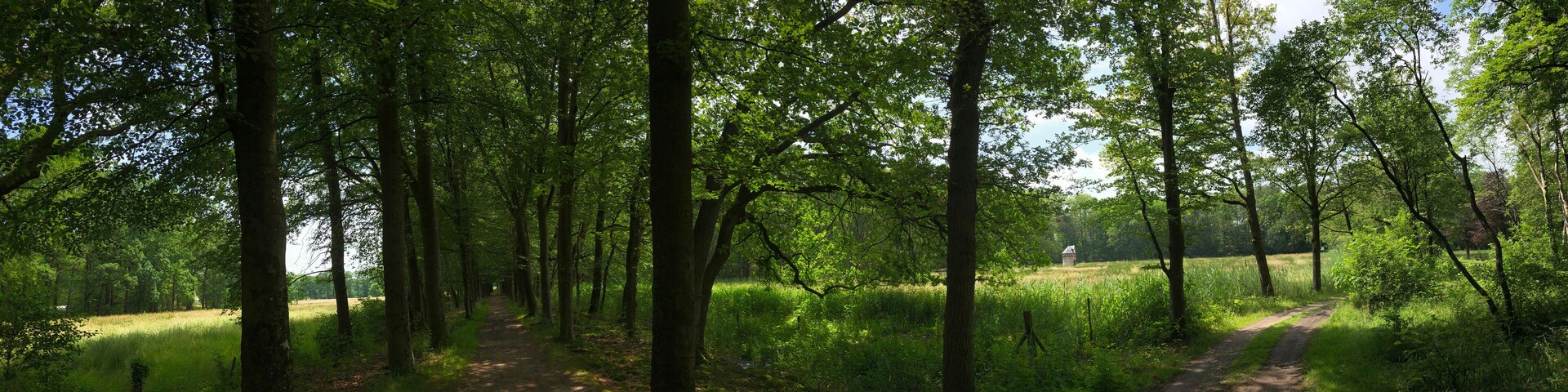 Panorama from the forest in Natuurschoon Nietap