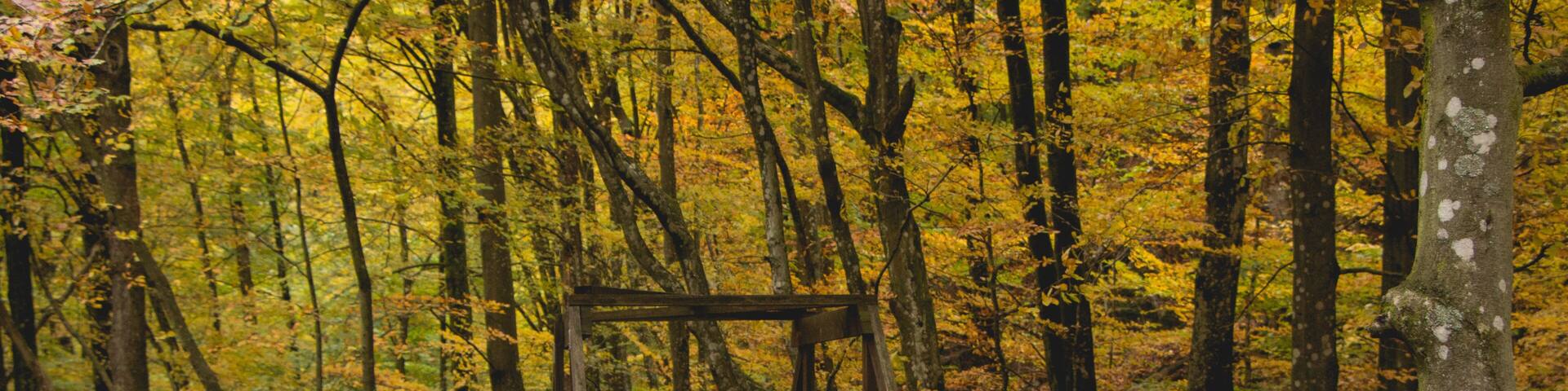 National park autumn 6