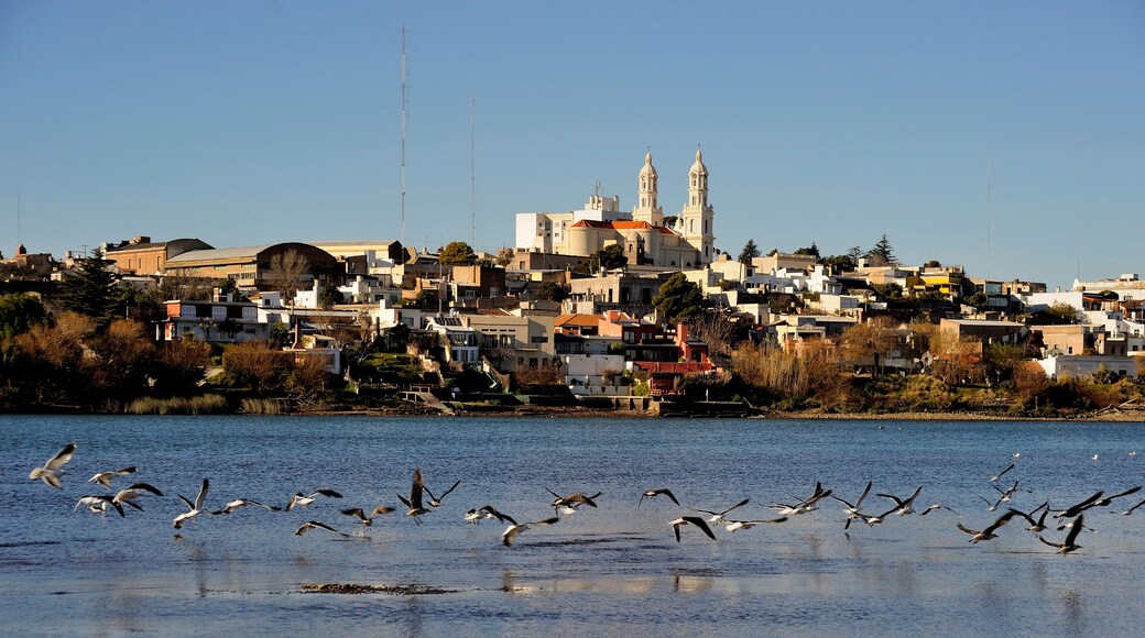 Partido de Patagones
