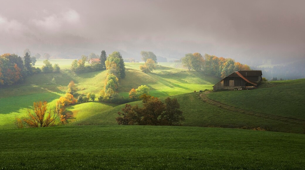 District de la Singine