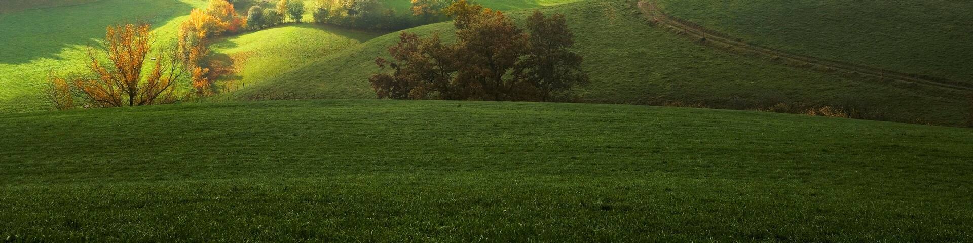 Autumn mood, farm house amongst fields and trees in the Sense District or Sensebezirk in the Freiburg Canton, Switzerland, Europe