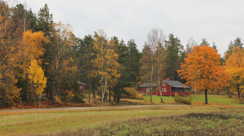 Golden October day in Mellerud, Sweden.
