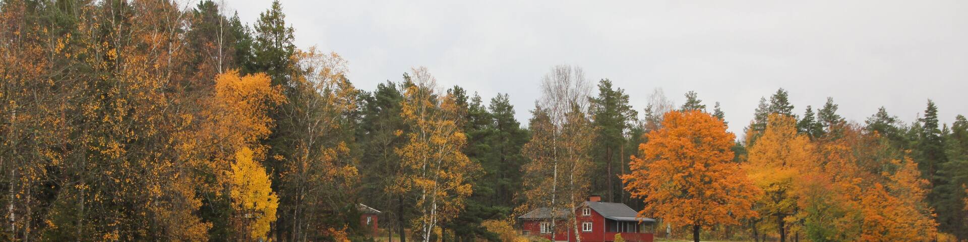 A red house surrounded by autumn-colored trees and a grassy field.