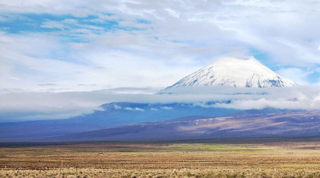 Province d'Enrique Baldivieso