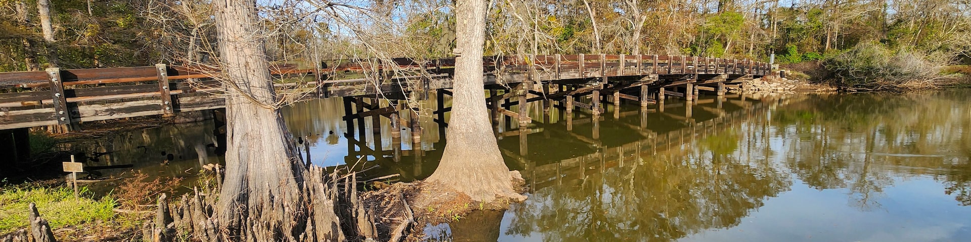 A wooden bridge over a calm river, surrounded by trees and vegetation.
