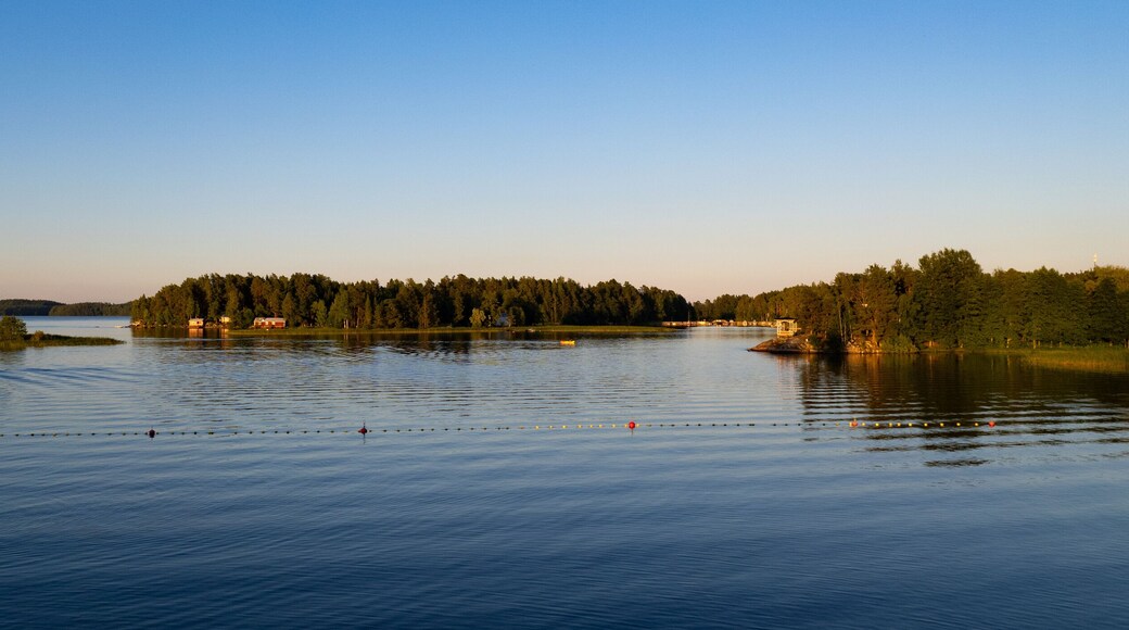 Drone landscape of Rono and Varnisaary island in kallavesi lake Eastern finland Kuopio , Europe