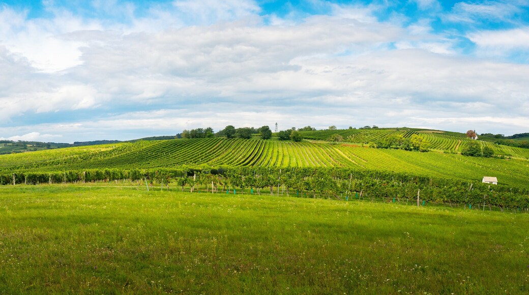 Distrito de Oberpullendorf