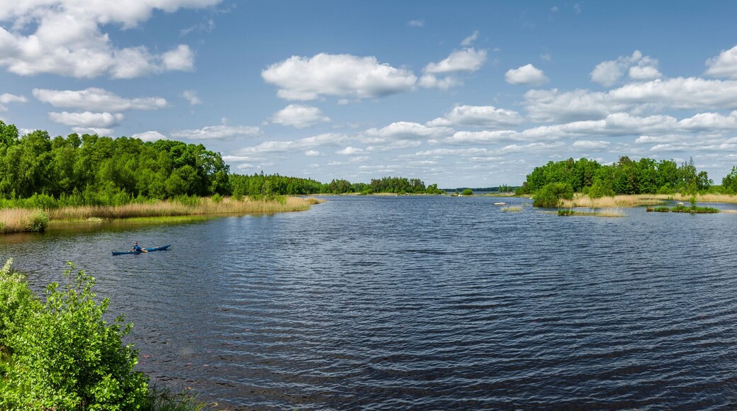 Panoramaaufnahme vom See Åsnen in Småland Schweden