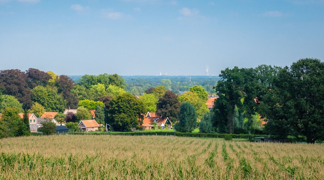 Municipio de Dinkelland