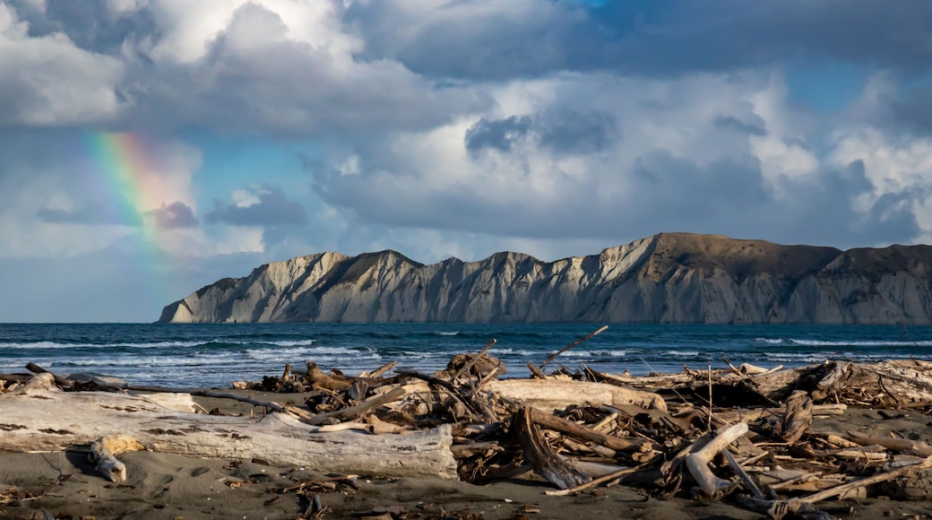 Distrito de Gisborne