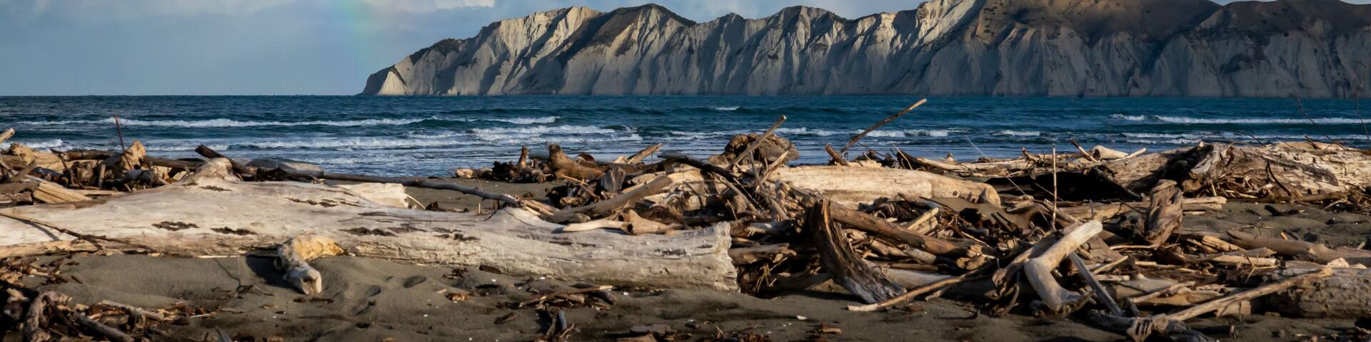 A beach with driftwood, a mountain range, and a rainbow in the sky.