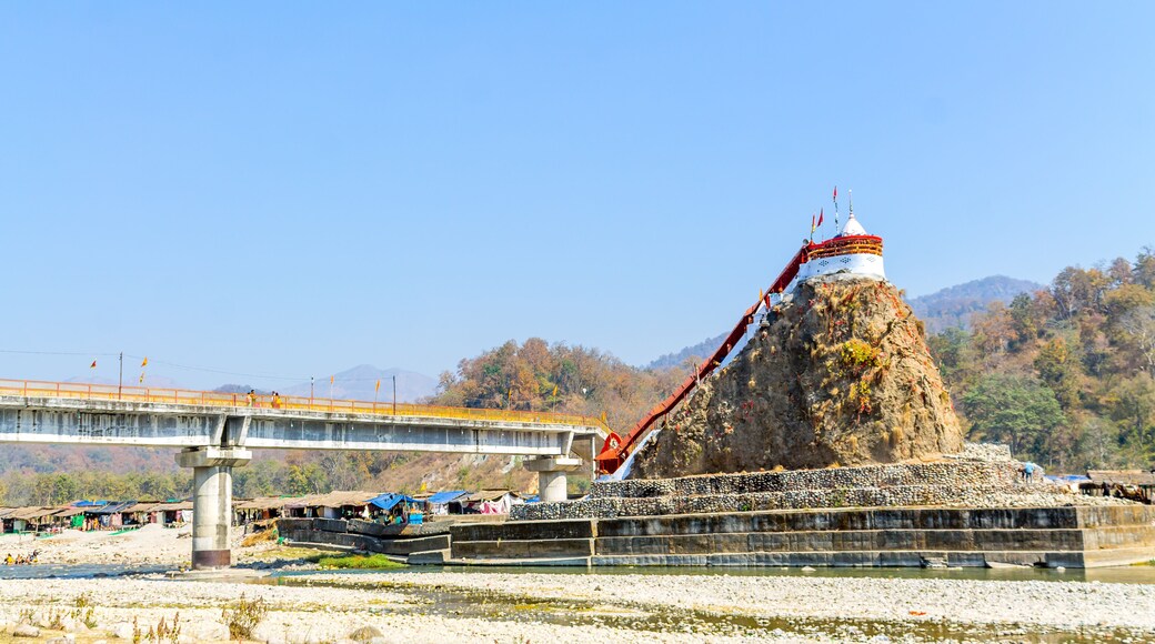 Distrito de Udham Singh Nagar