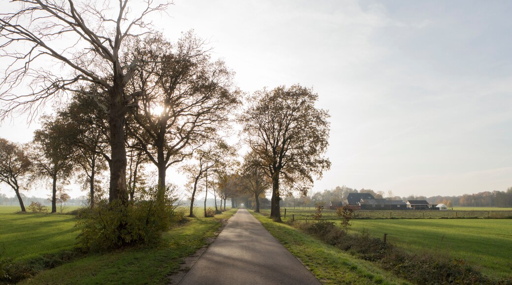 A road in the municipality of lochem