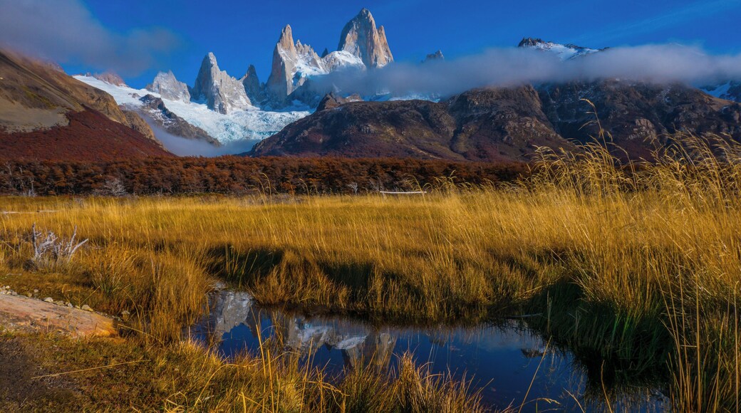 Ever thought about going down to Patagonia? Well, you should. This is Fitz Roy in Argentina, close to the small village of El Chaltén.
#troveontuesday