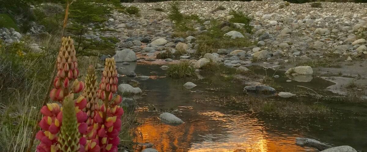 Fitz Roy sunrise
# golden