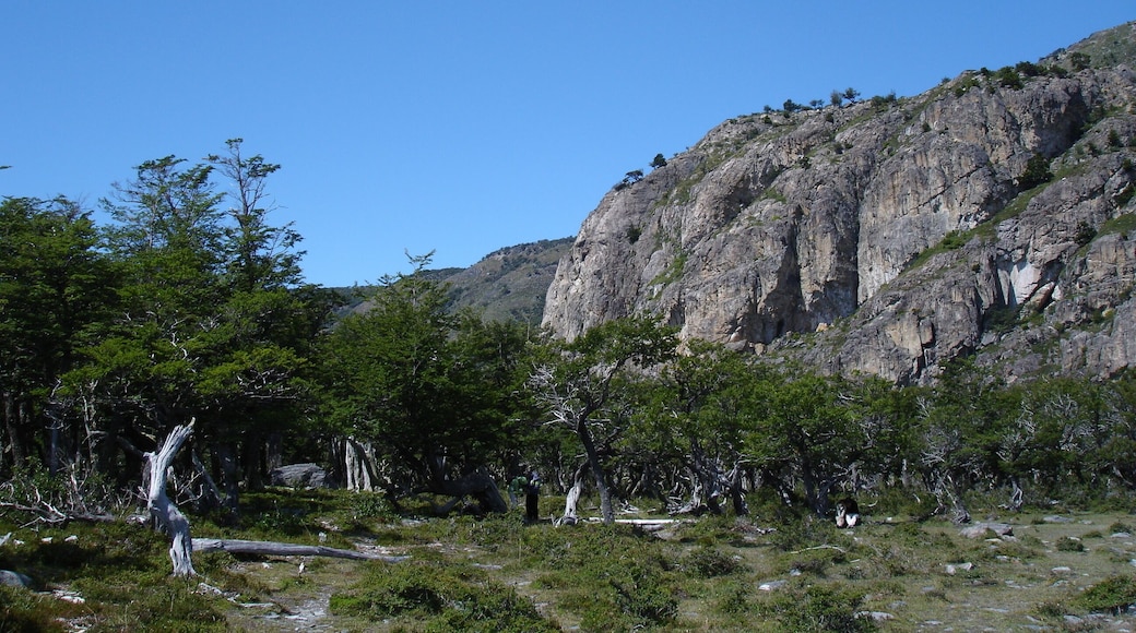 #Patagonia #Argentina #glacier #Onelli #GreatOutdoors
O Glaciar Onelli fica no Parque Nacional Los Glaciares na Patagônia Argentina. O Onelli desemboca na Baía Onelli, junto com outros dois glaciares. Visitei a parte do parque que fica perto da cidade de El Calafate. Os principais glaciares nesta parte sâo o Perito Moreno, o Upsala, o Spegazzini e o Onelli. A altura dos glaciares vai de 30-60m no caso do Perito Moreno, 80-135m para o Spegazzini e de 60-80m para o Upsala. .
Sem a originalidade de Yuri Gagarin, me atrevo a dizer ... os glaciares são azuis !
The Onelli Glacier is in the Los Glaciares National Park in Patagonia Argentina. Onelli flows into Onelli Bay, along with two other glaciers. I visited the part of the park that is near the city of El Calafate. The main glaciers in this part are Perito Moreno, Upsala, Spegazzini and Onelli. The height of the glaciers goes from 30-60m in the case of Perito Moreno, 80-135m for Spegazzini and 60-80m for Upsala. .
Without the originality of Yuri Gagarin, I dare say ... the glaciers are blue!